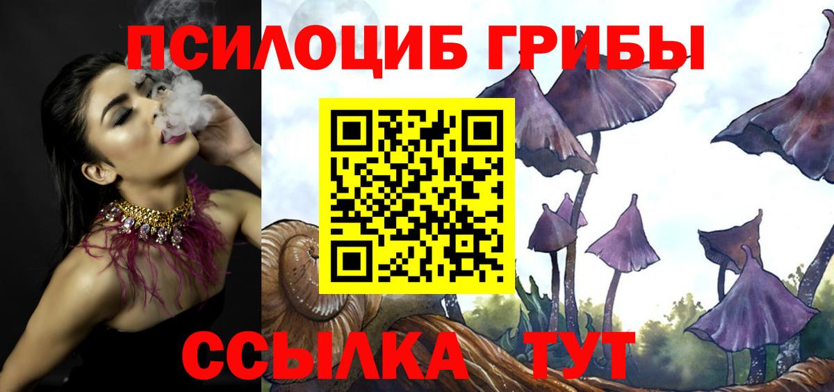 Нефтекамск  Галлюциногенные грибы Psilocybe  Псилоцибиновые грибы GOLDEN TEACHER  Вход с VPN 